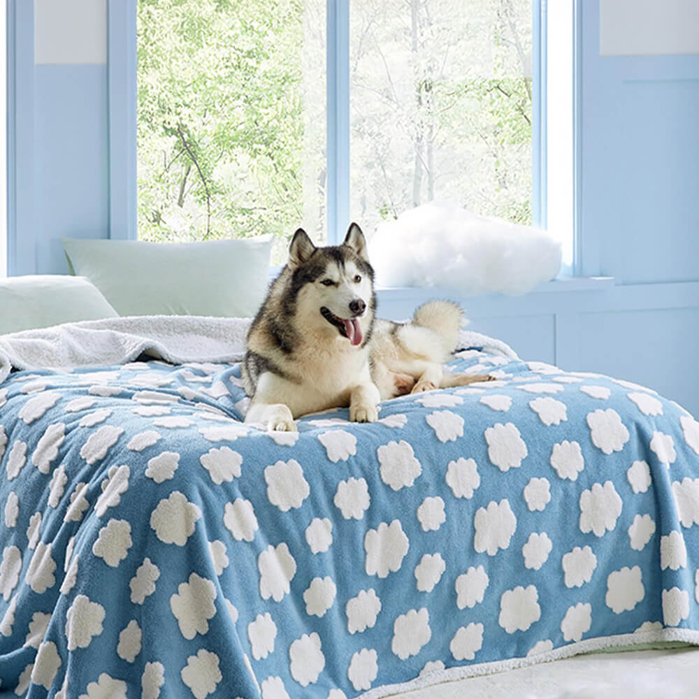 Cloud Flocked Water Water-Funcional Sherpa Dog Manket