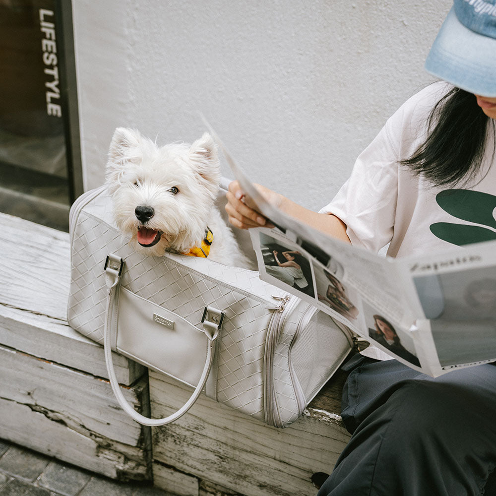 Luxury Multi-Functional Breathable Woven Leather Pet Carrier – The City Companion