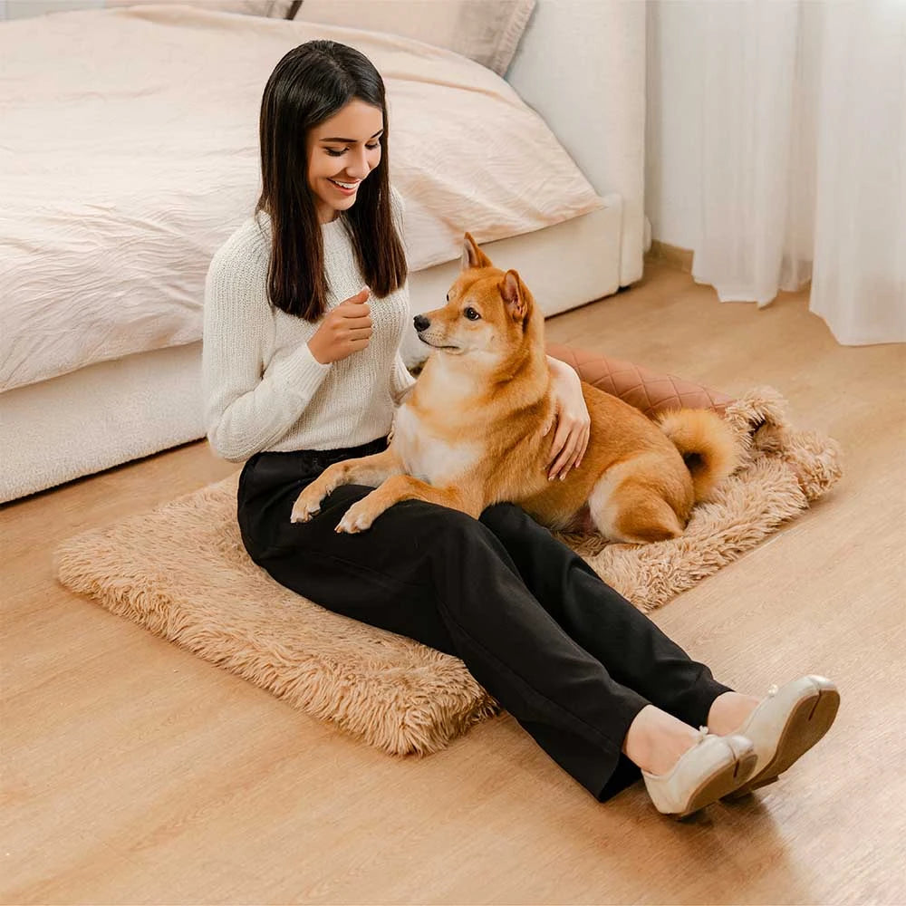 Dual-Sided Faux Leather&Warm Plush Removable Sponge Dog Mat With Pillow
