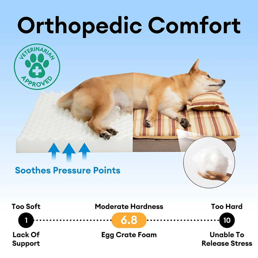 Trendy Striped Detachable Dual-layer Orthopedic Dog Bed With Pillow - CloudNap