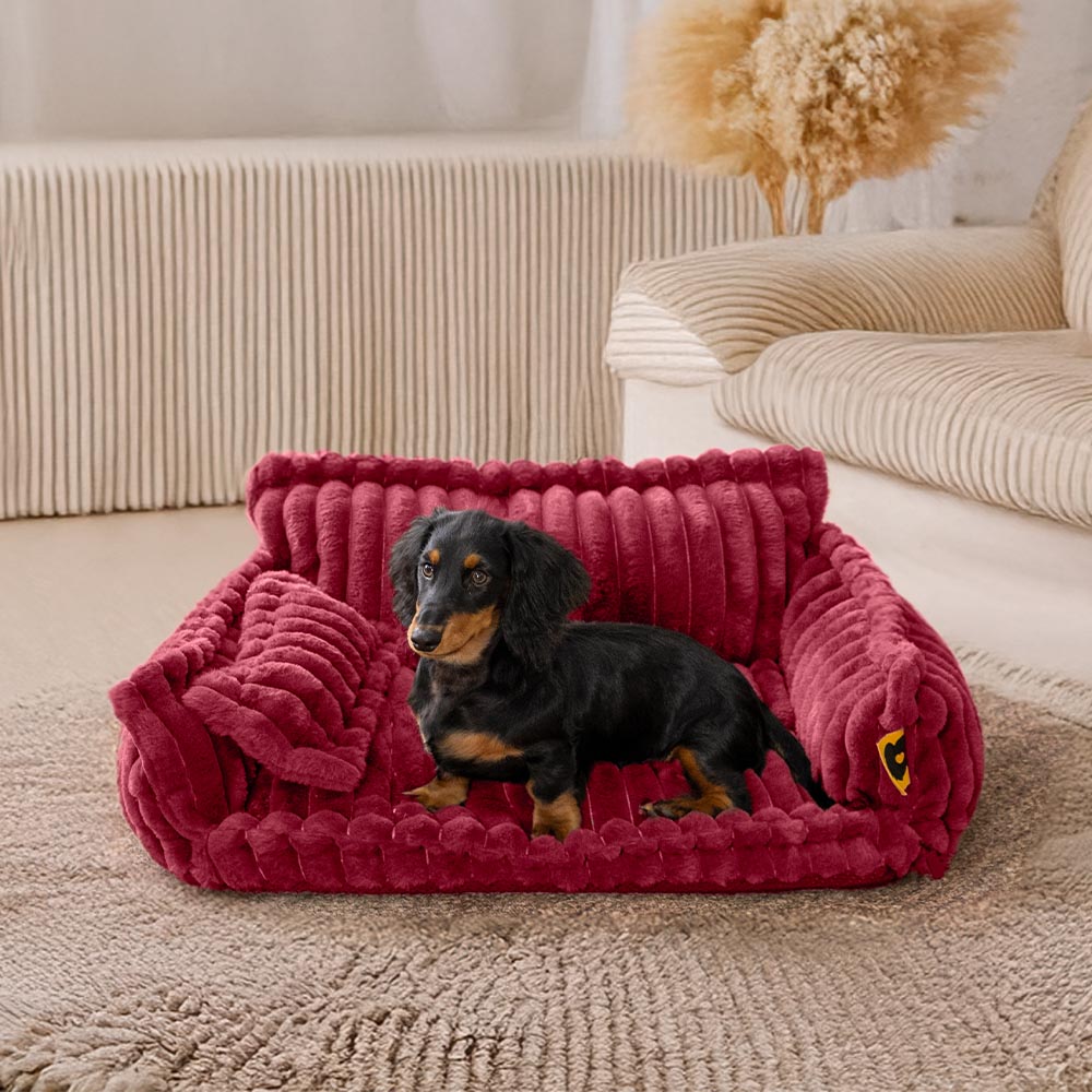 Large Washable Fluffy Orthopedic Soft Dog Pillow Dog Sofa Bed-Snoozy Dreams