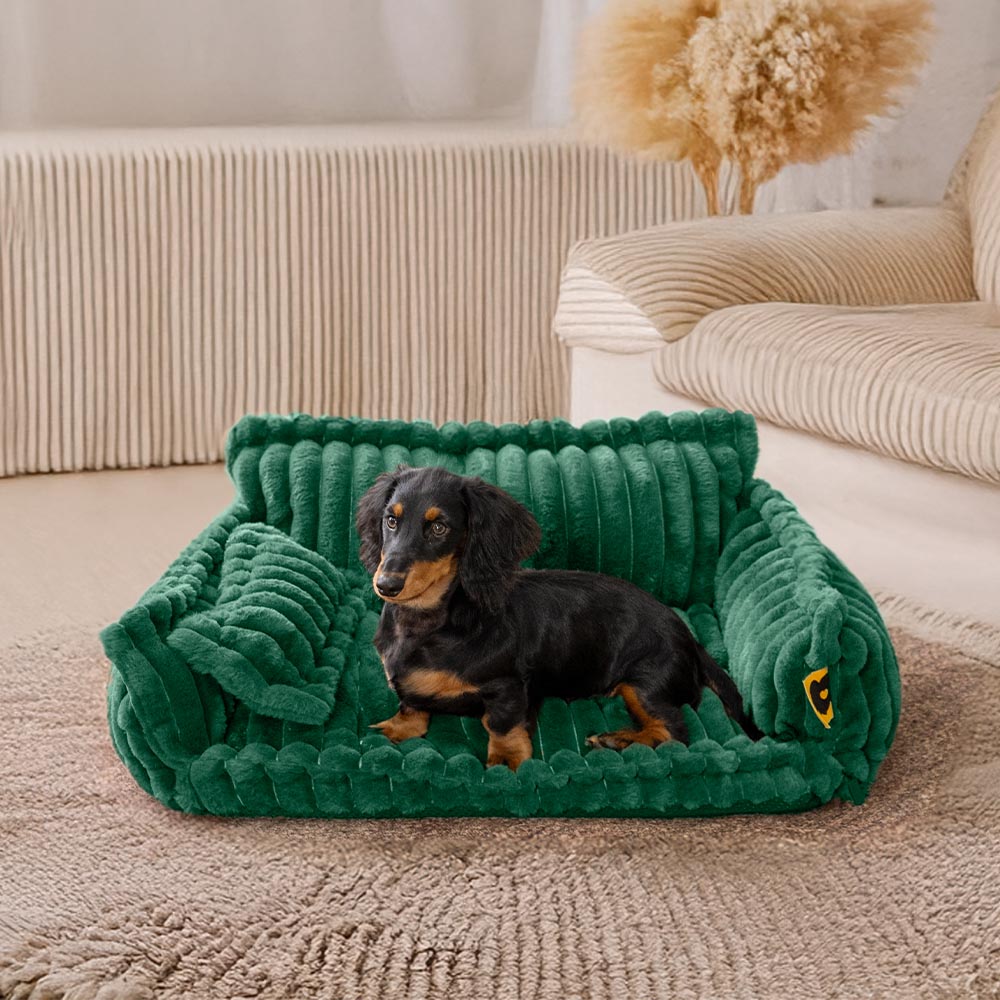 Large Washable Fluffy Orthopedic Soft Dog Pillow Dog Sofa Bed-Snoozy Dreams
