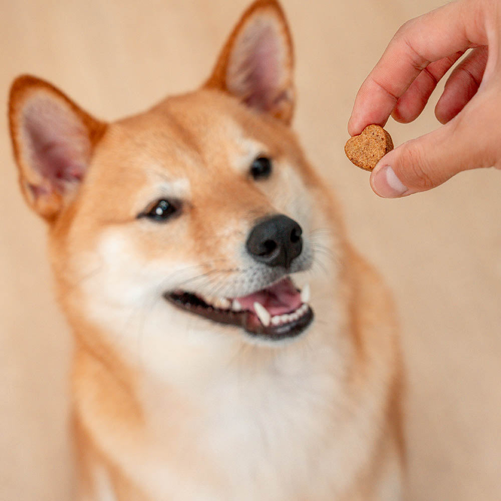 Dog Calming Chews for Stress Relief & Separation Anxiety Support - 120 Count
