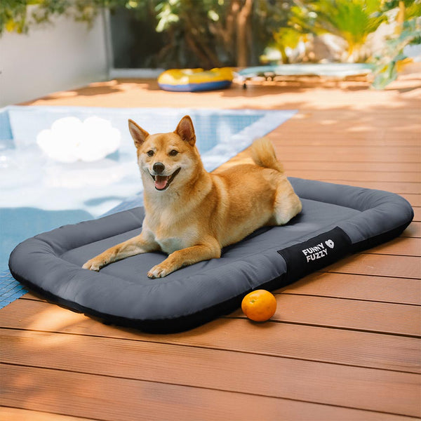 Outdoor Waterproof & Chew-proof Memory Foam Orthopedic Dog Mat - Trek Lounge