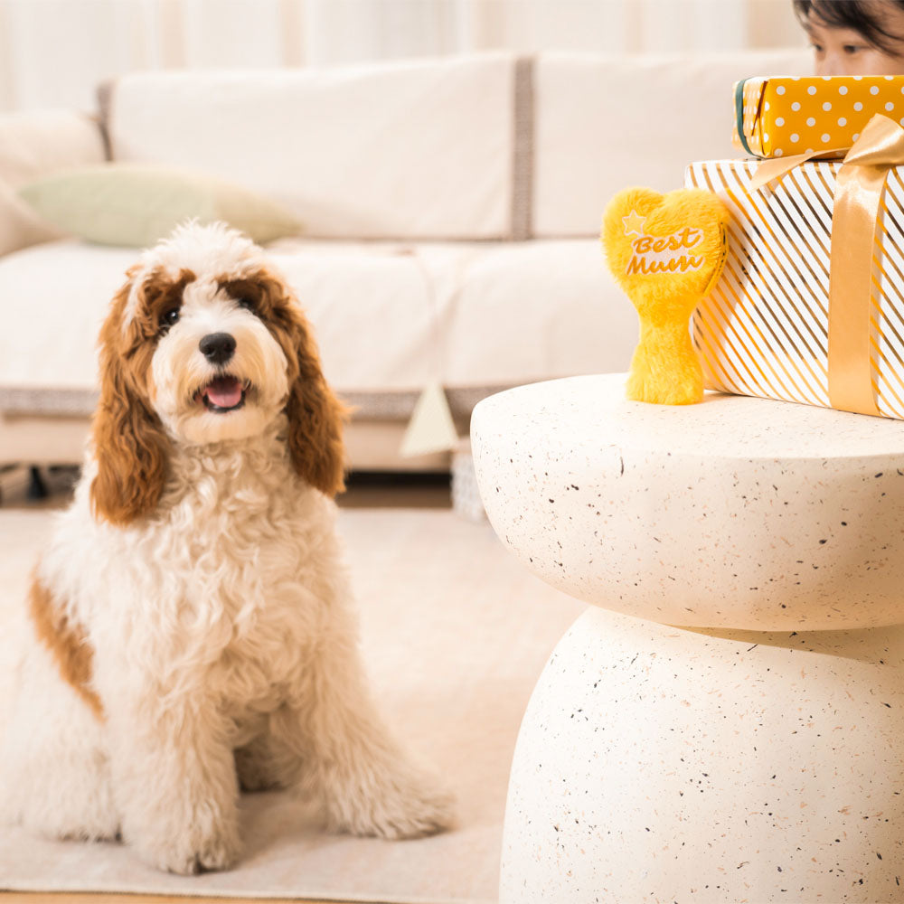 Mother’s Day Plush Squeaky Heart Dog Toy - Best Mum Trophy