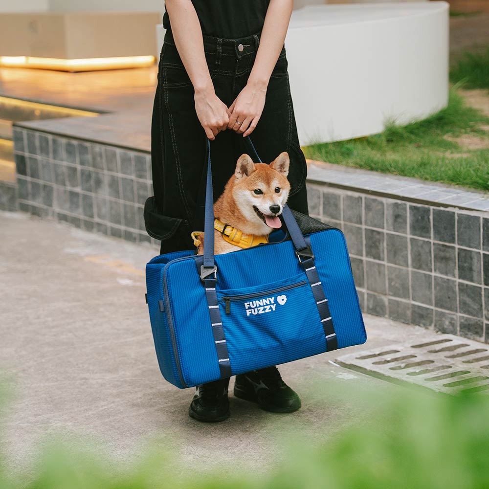 Lightweight Waterproof Safety Dog Booster Car Seat & Pet Carrier - Gympet