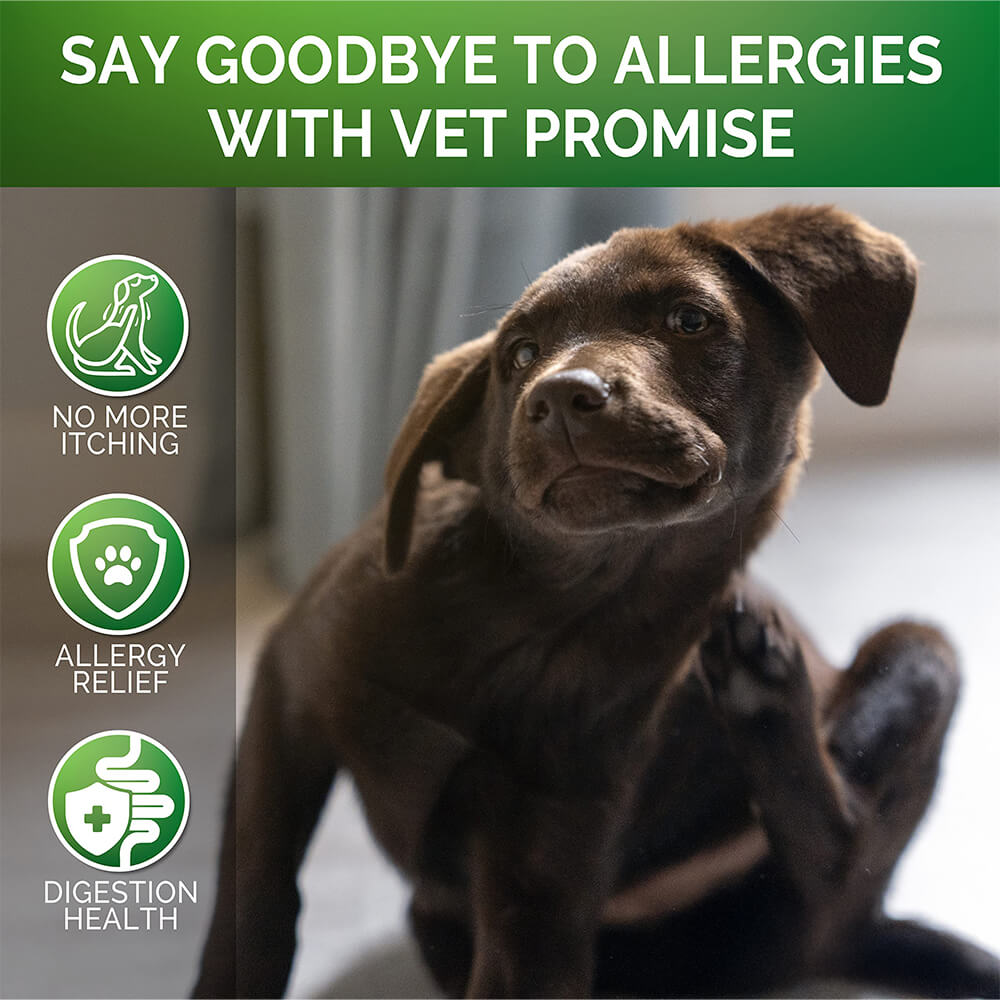 Allergy Relief Soft Chews for Dogs - Soothing Itching and Enhancing Immune Support