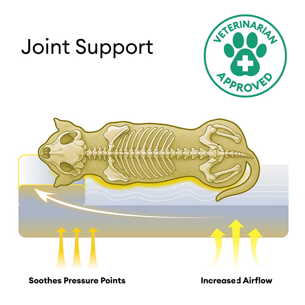 Anti-Anxiety with Sponge Support Deep Sleeping Dog Bed