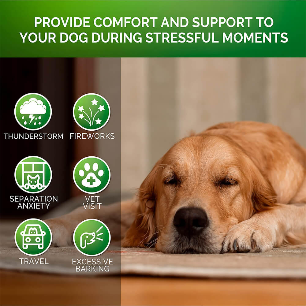 Calming Soft Chews for Dogs - Reduces Anxiety, Storms and Separation Stressand