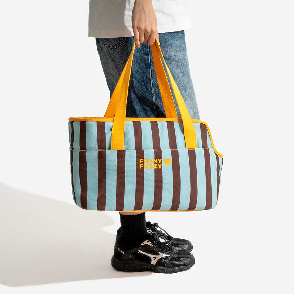 Stripe Eco-friendly Waterproof Breathable Mesh Safe Pet Carrier - CityBreeze