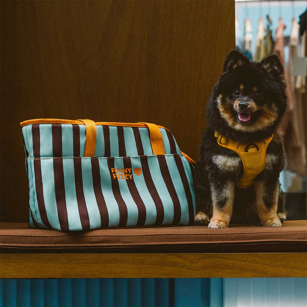 Stripe Eco-friendly Waterproof Breathable Mesh Safe Pet Carrier - CityBreeze