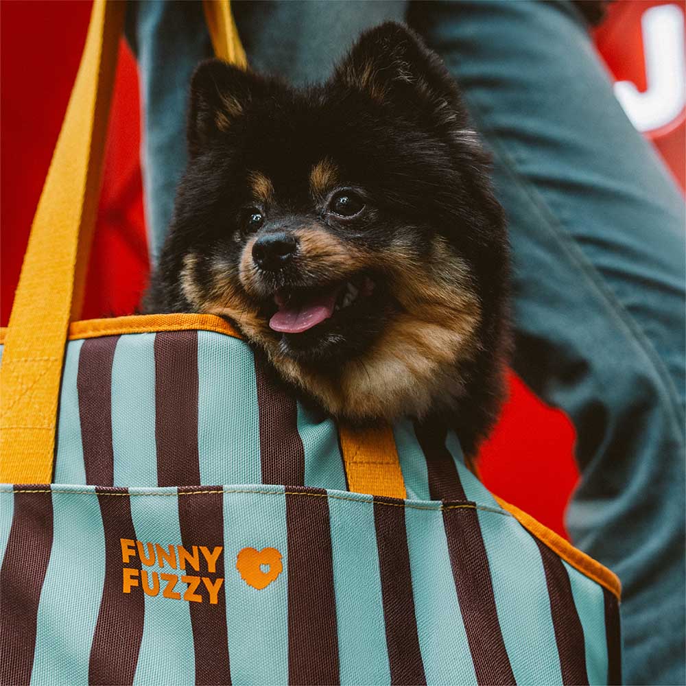 Stripe Eco-friendly Waterproof Breathable Mesh Safe Pet Carrier - CityBreeze