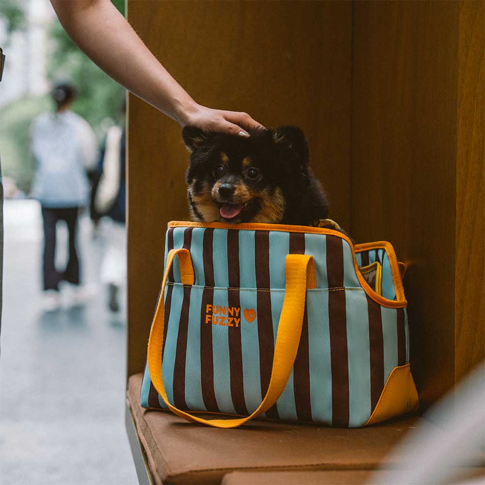 Stripe Eco-friendly Waterproof Breathable Mesh Safe Pet Carrier - CityBreeze