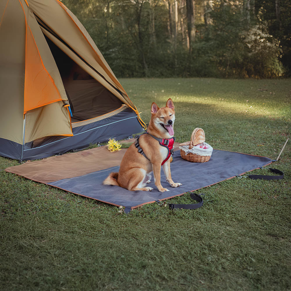 Classic Retro - Waterproof Camping & Car Dual-Use Back Seat Cover