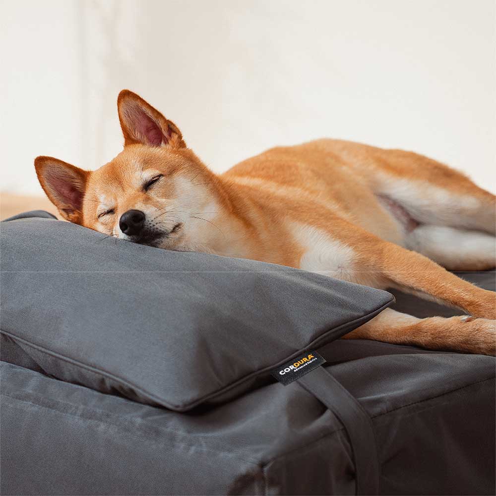 CorduraTech Waterproof Anti-Scratch Dog Bed Cover Or Pillow Set - EverShield