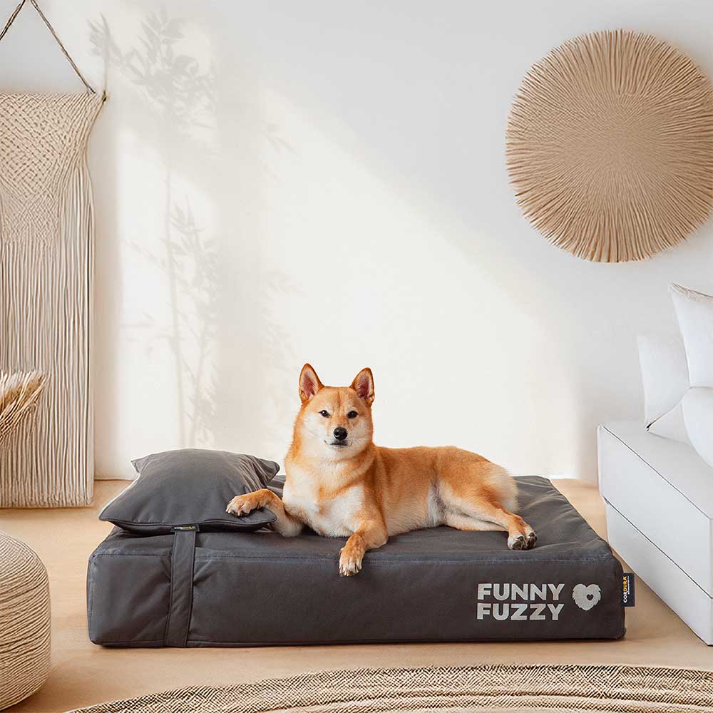 CorduraTech Waterproof Anti-Scratch Dog Bed Cover Or Pillow Set - EverShield