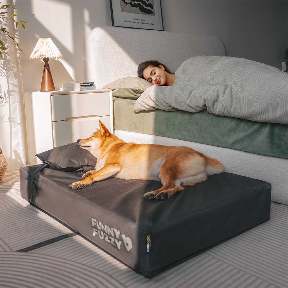 CorduraTech Waterproof Anti-Scratch Dog Bed Cover Or Pillow Set - EverShield