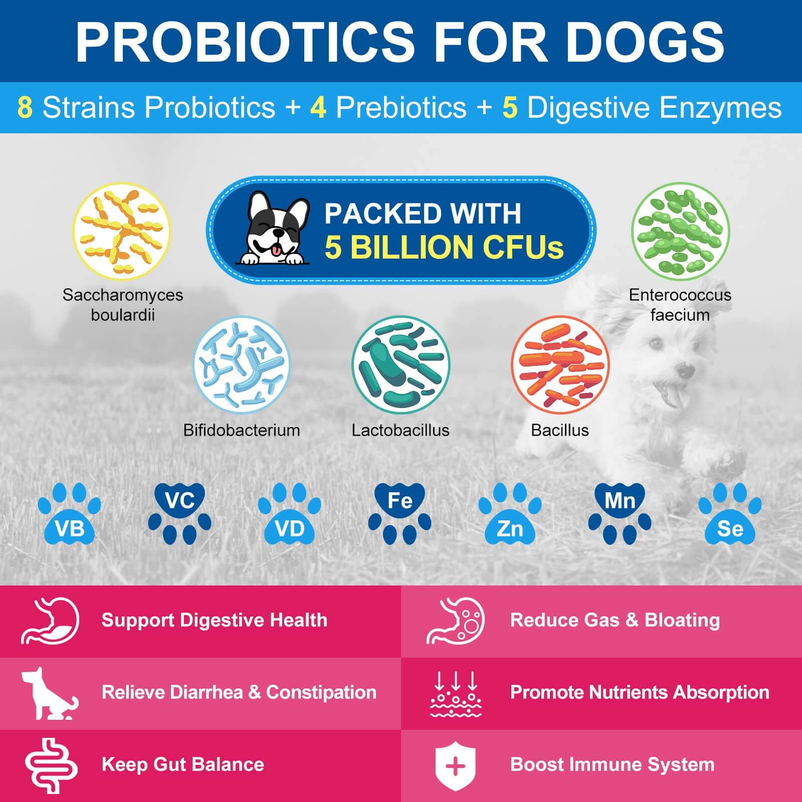 Dog Multivitamin Vitamins Powder Probiotics & Digestive Enzymes for Gut Health