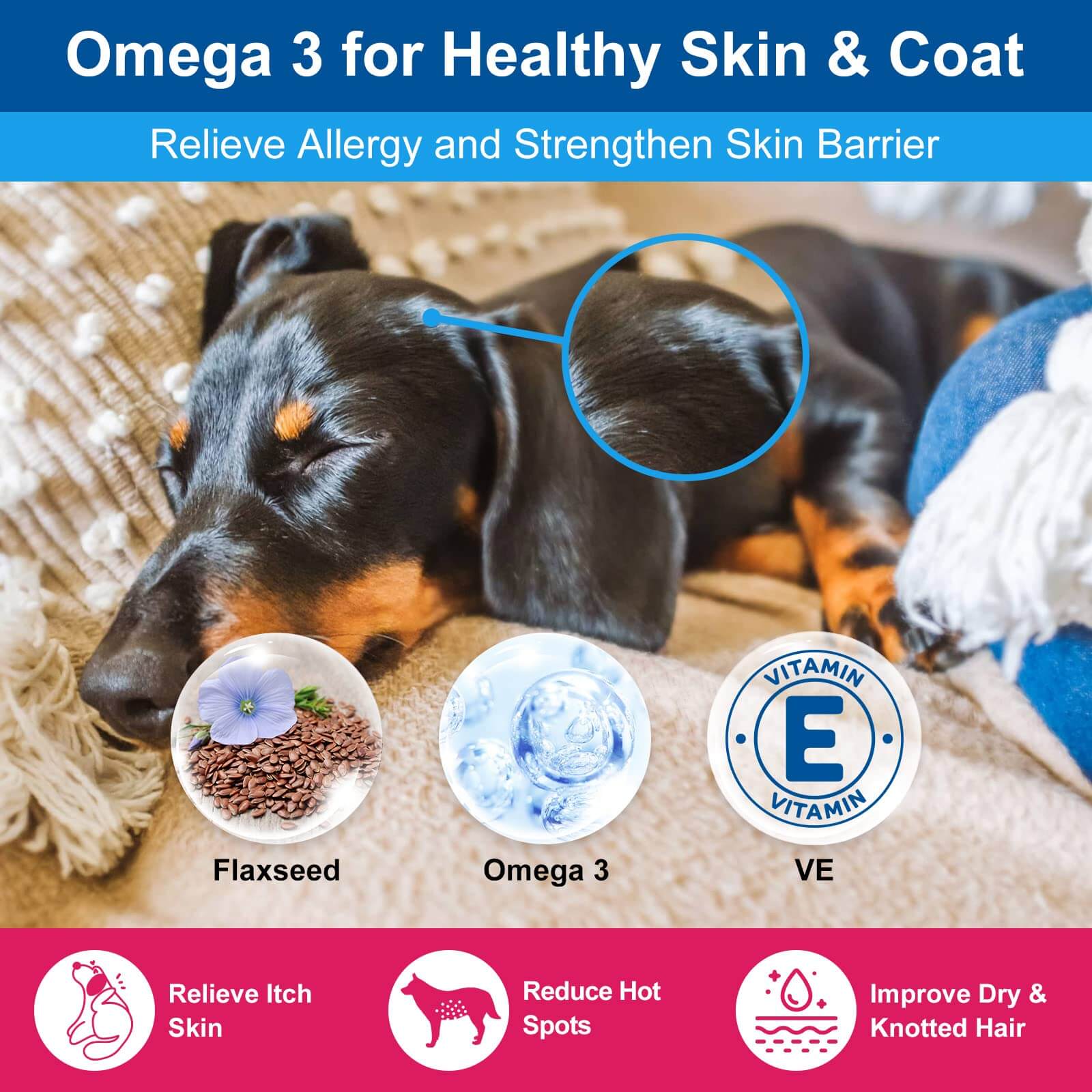 Dog Multivitamin Vitamins Powder Probiotics & Digestive Enzymes for Gut Health