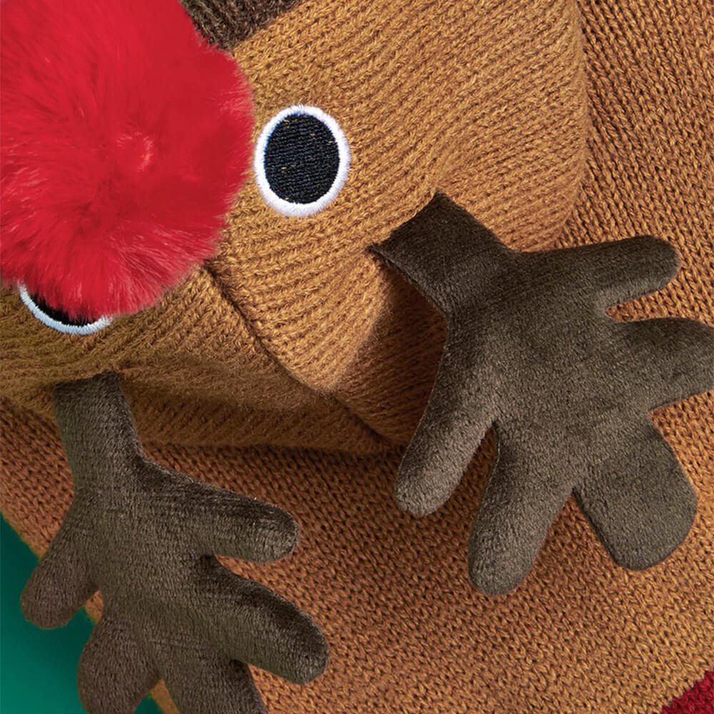 Weihnachtlich dicker, warmer Rollkragen-Hundepullover, passende Socken für Haustier und Besitzer