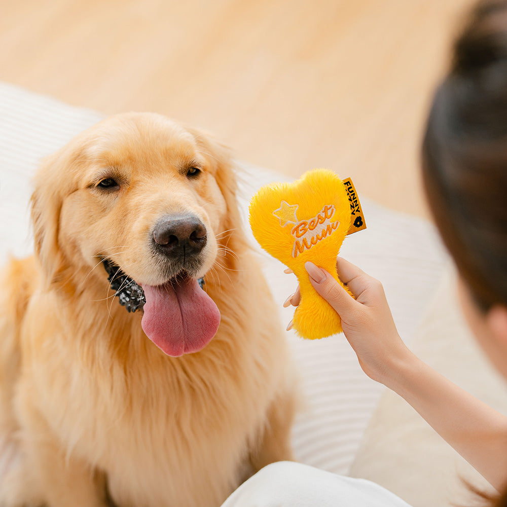 Mother’s Day Plush Squeaky Heart Dog Toy - Best Mum Trophy