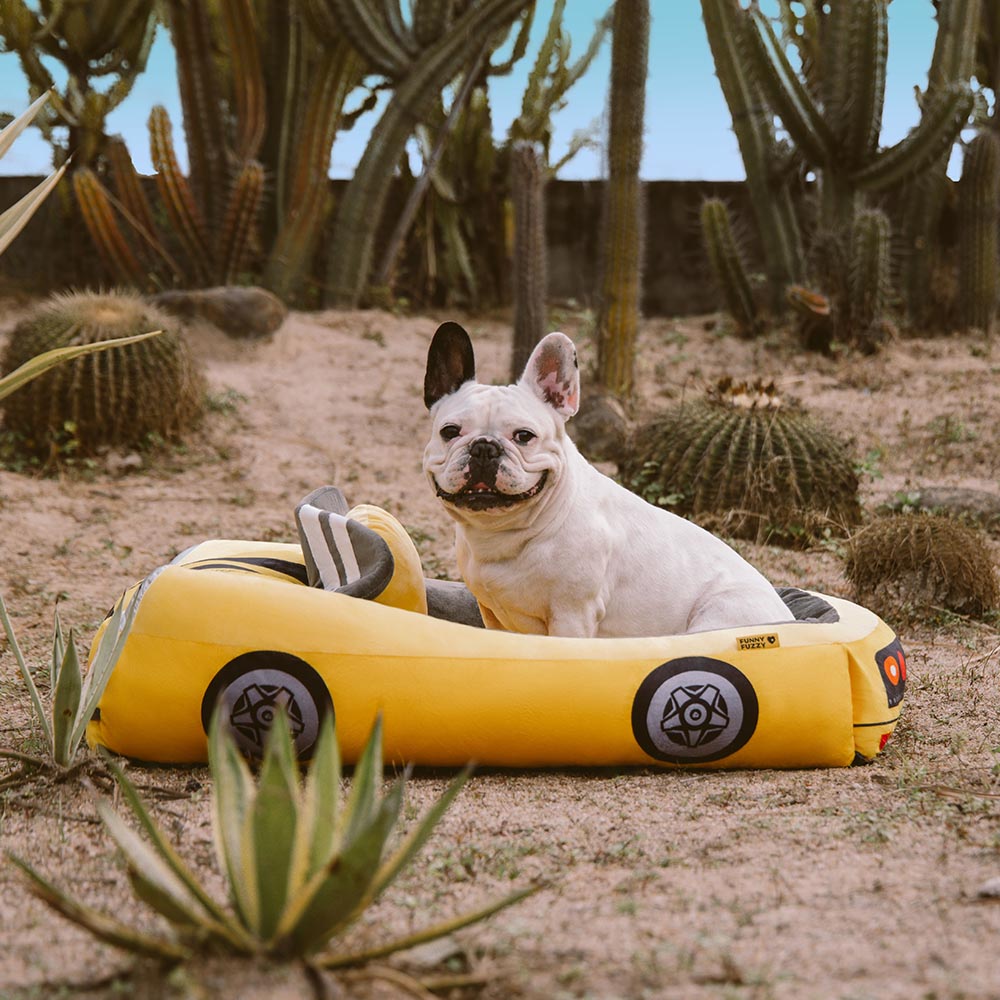 Classic Convertible Race Car Bolster Pet Bed - Fast&Fur