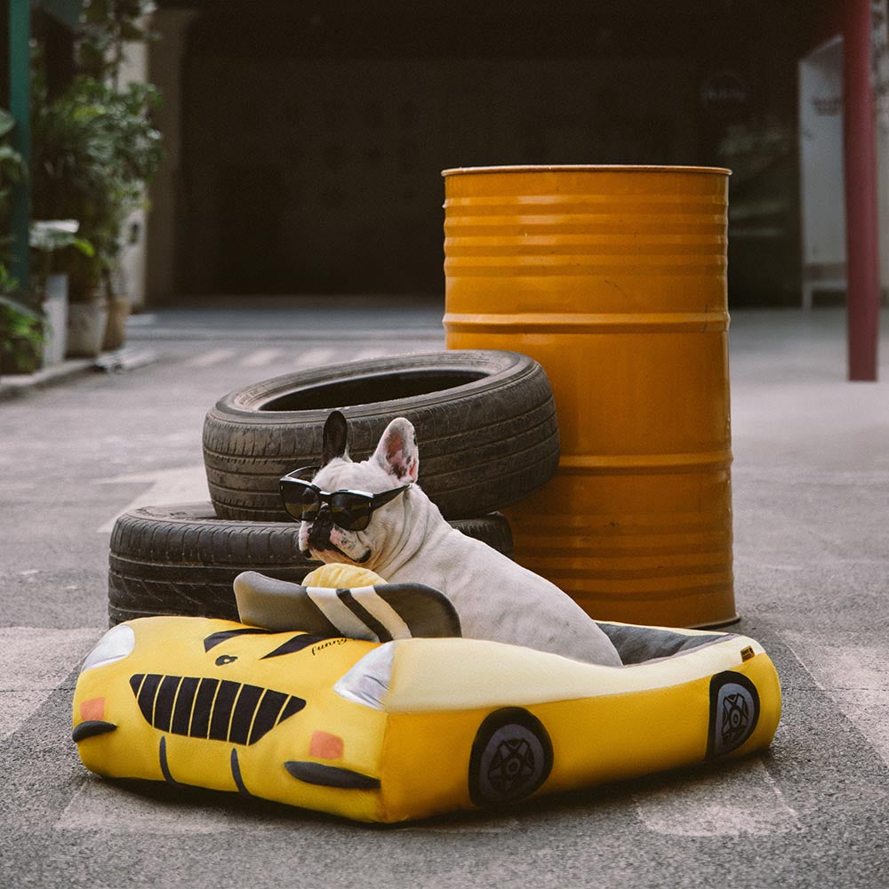 Classic Convertible Race Car Bolster Pet Bed - Fast&Fur