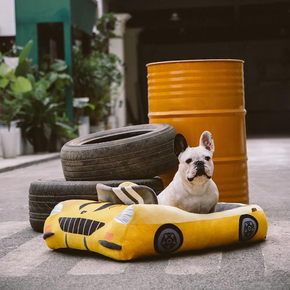 Classic Convertible Race Car Bolster Pet Bed - Fast&Fur