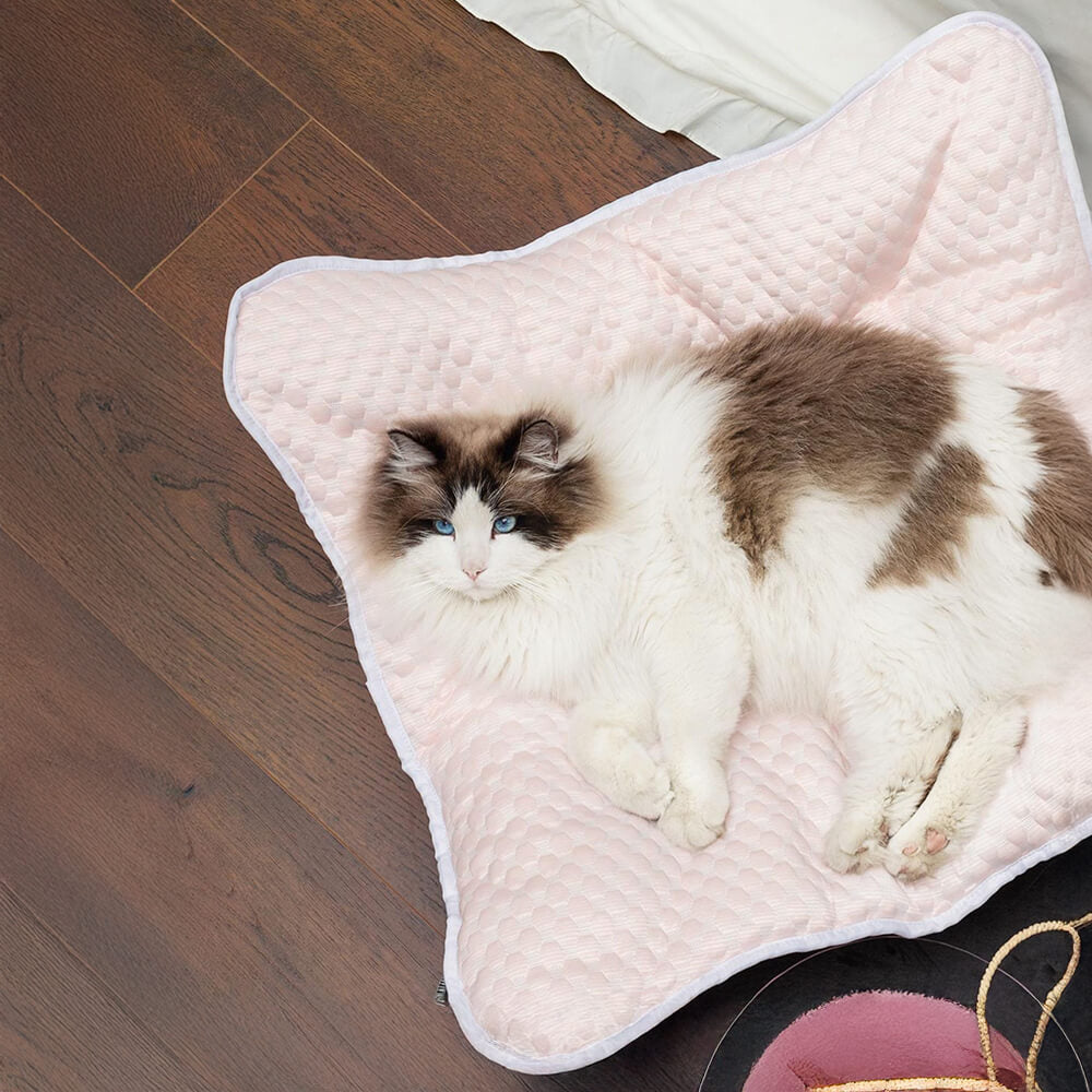Cooling Breathable Portable Foldable Elevated Dog Bed