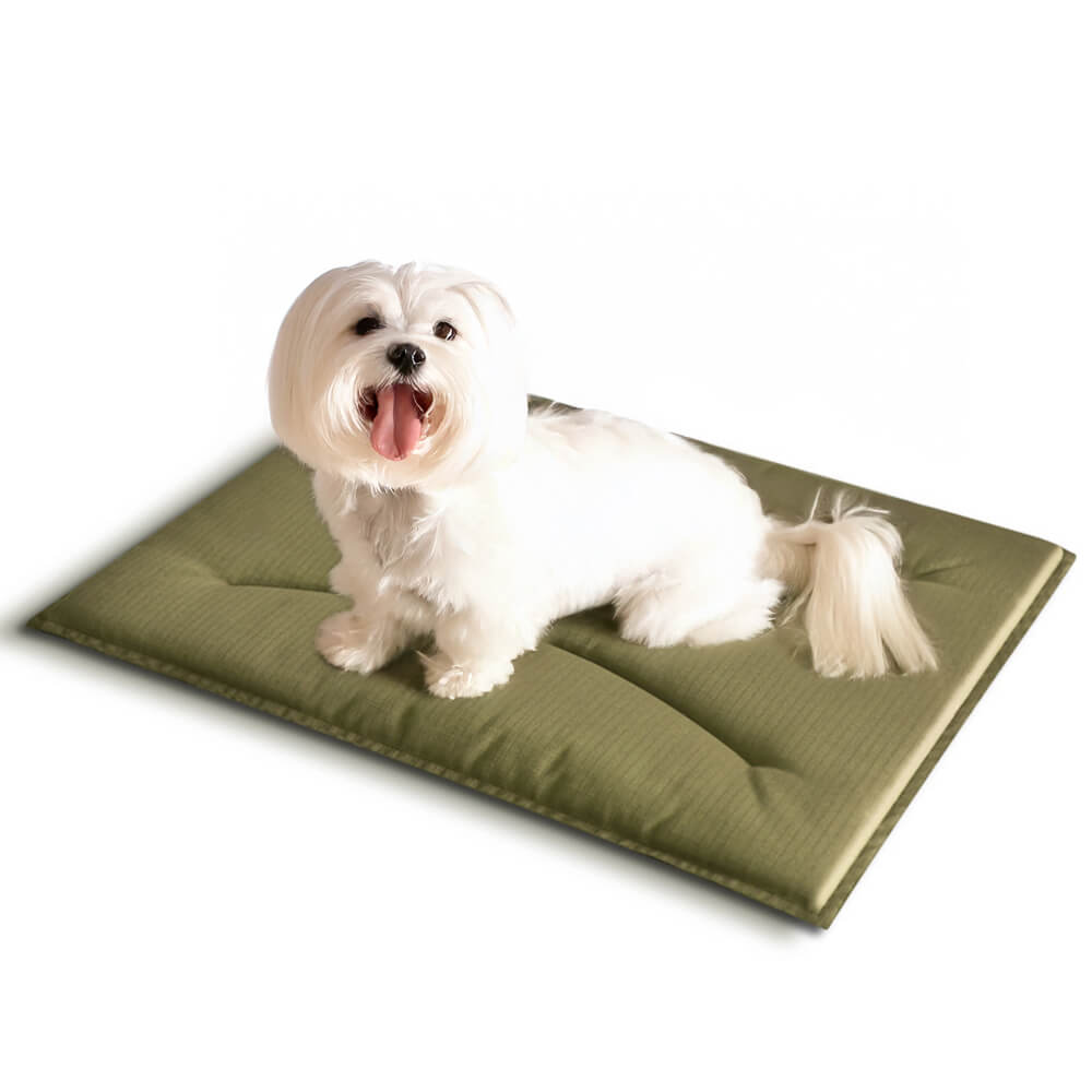 Durable Scratch-Resistant Oxford Fabric Anti-Tear Dog Mat