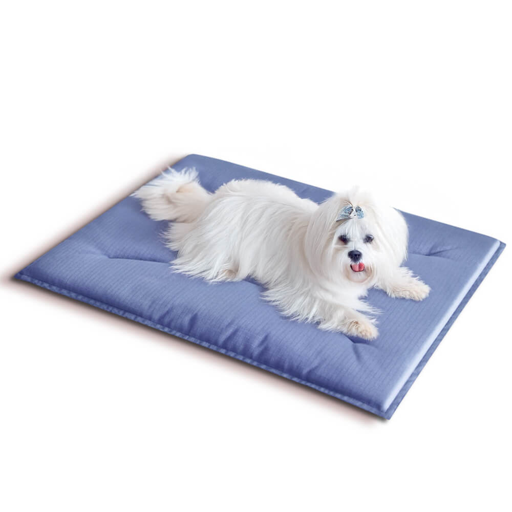 Durable Scratch-Resistant Oxford Fabric Anti-Tear Dog Mat