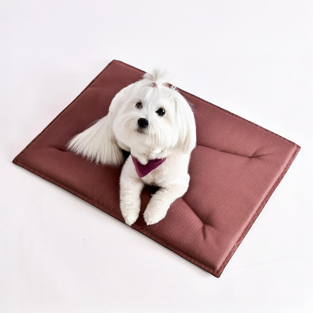 Durable Scratch-Resistant Oxford Fabric Anti-Tear Dog Mat