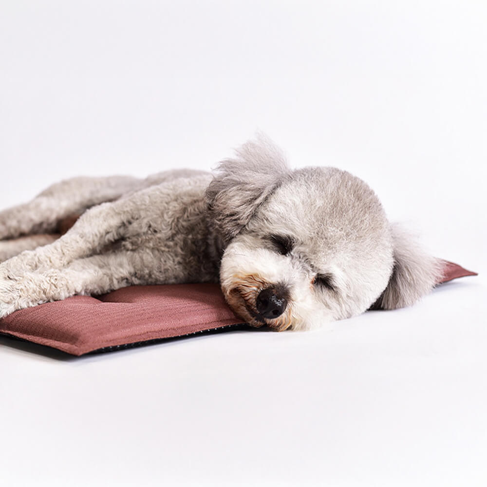 Durable Scratch-Resistant Oxford Fabric Anti-Tear Dog Mat