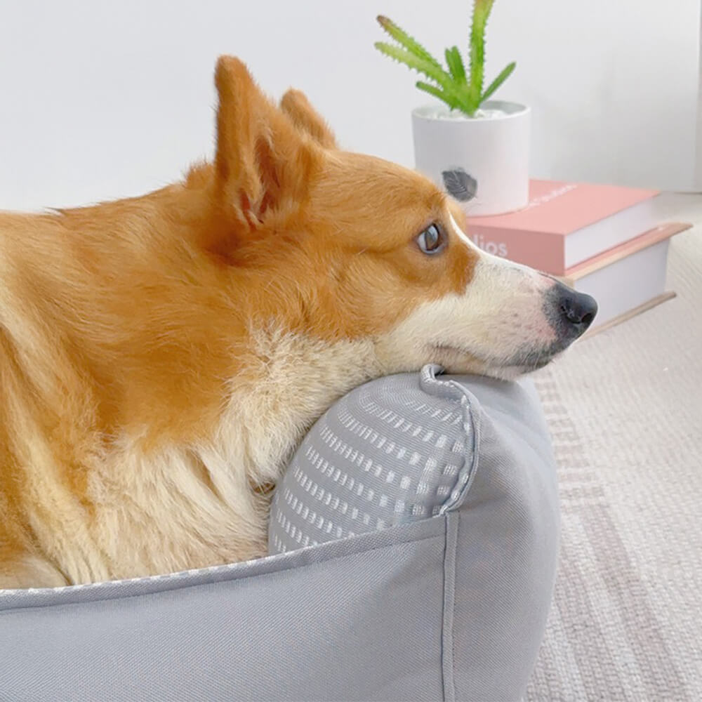 Fluffy Breathable Cooling Washable Dog Sofa Bed