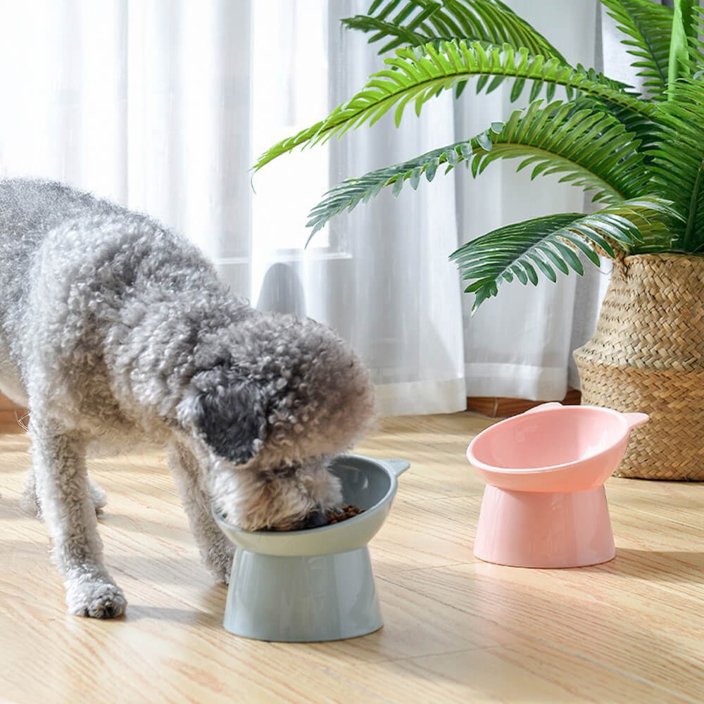 Nordic Style Elevated Anti-Choke Anti-Spill Slanted Feeding Cat & Dog Bowl