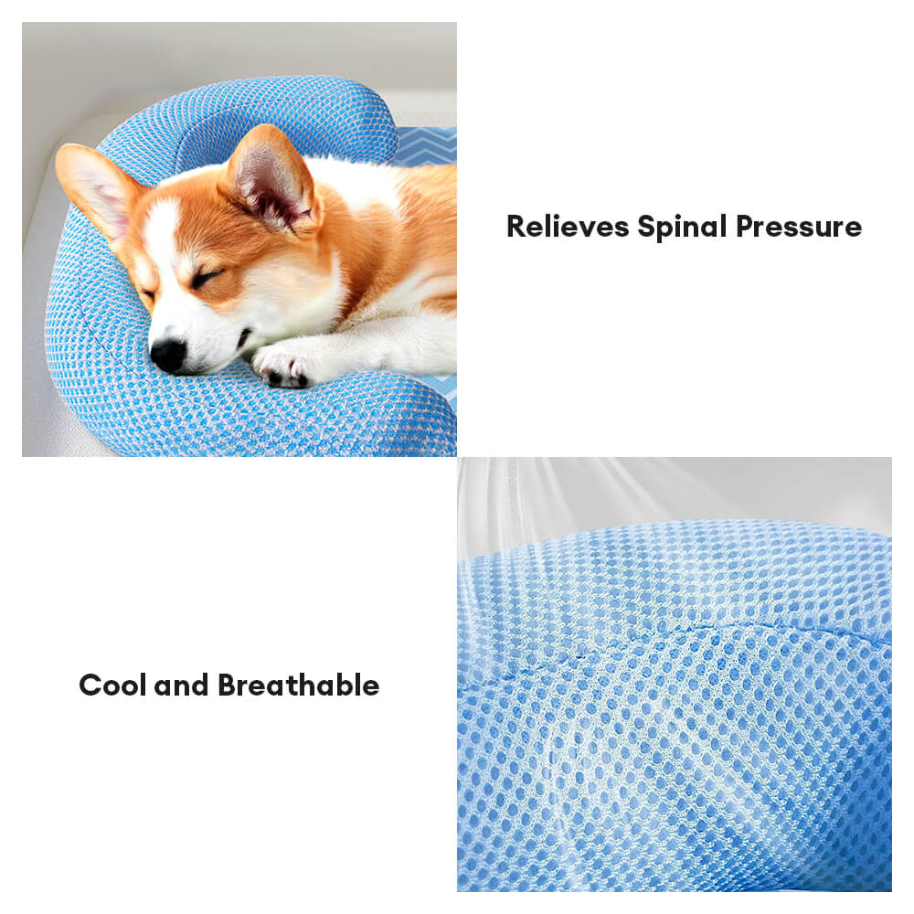 Scratch-Resistant Waterproof Breathable Neck-Support Dog Bed