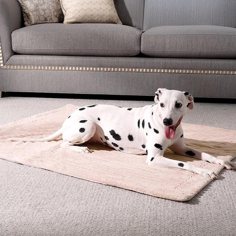 Striped Water-Resistant All-Season Warm Pet Blanket for Multi-Use