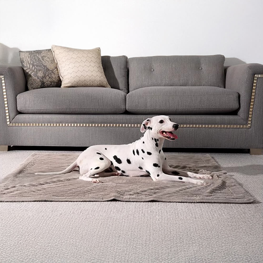 Striped Water-Resistant All-Season Warm Pet Blanket for Multi-Use