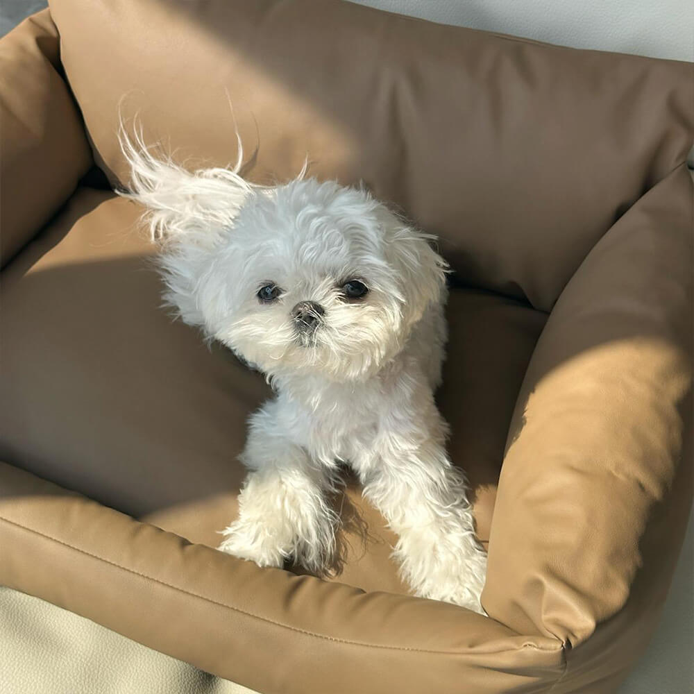 Waterproof Scratch-Resistant All-Season Detachable Washable Dog Sofa Bed