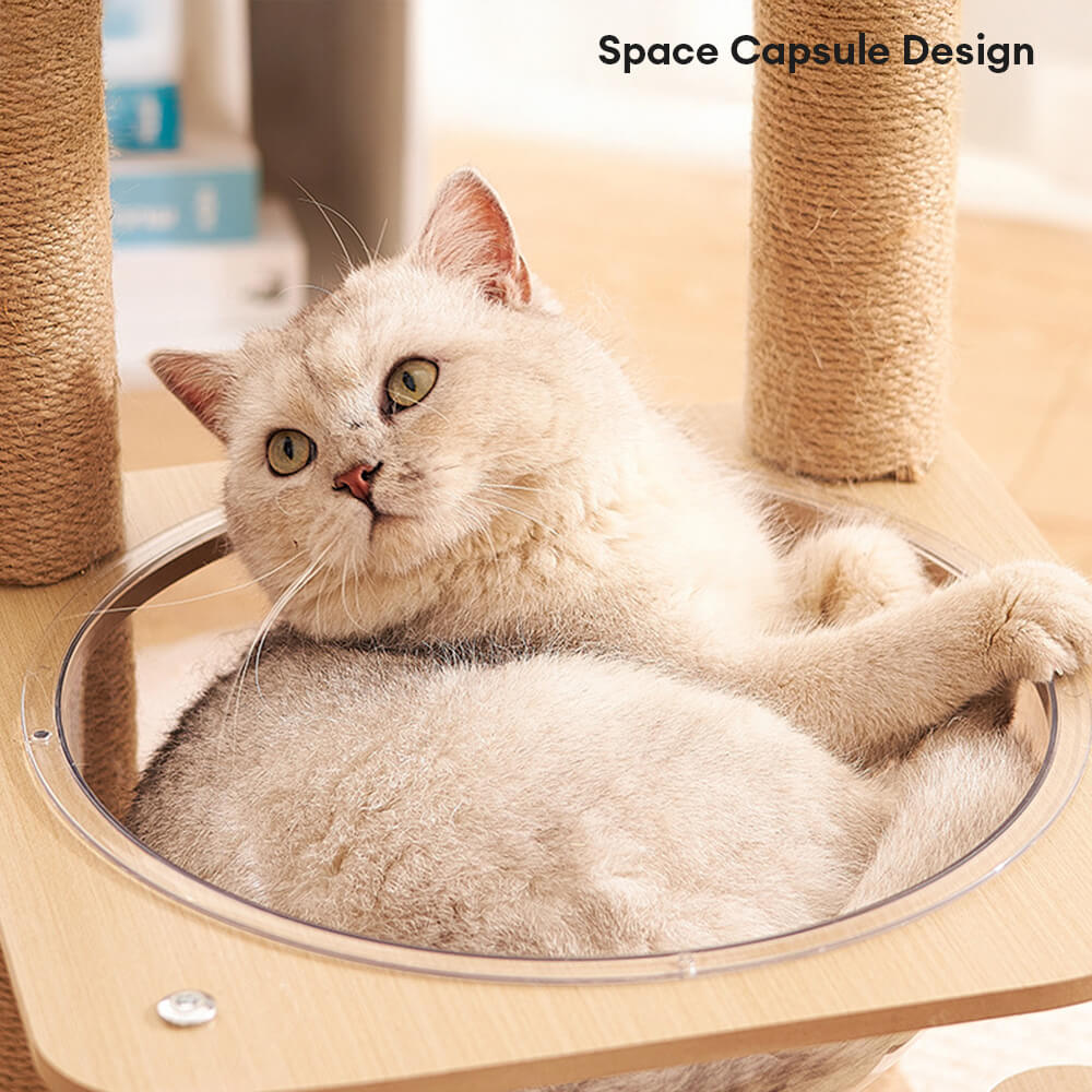 Five-Tier Cat Tree with Space Capsule and Wear-Resistant Scratching Posts