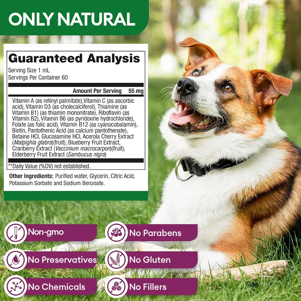 15-in-1 Dog & Cat Multivitamin Drops for UTI, Kidney, Skin, Coat Pet Supplements Support
