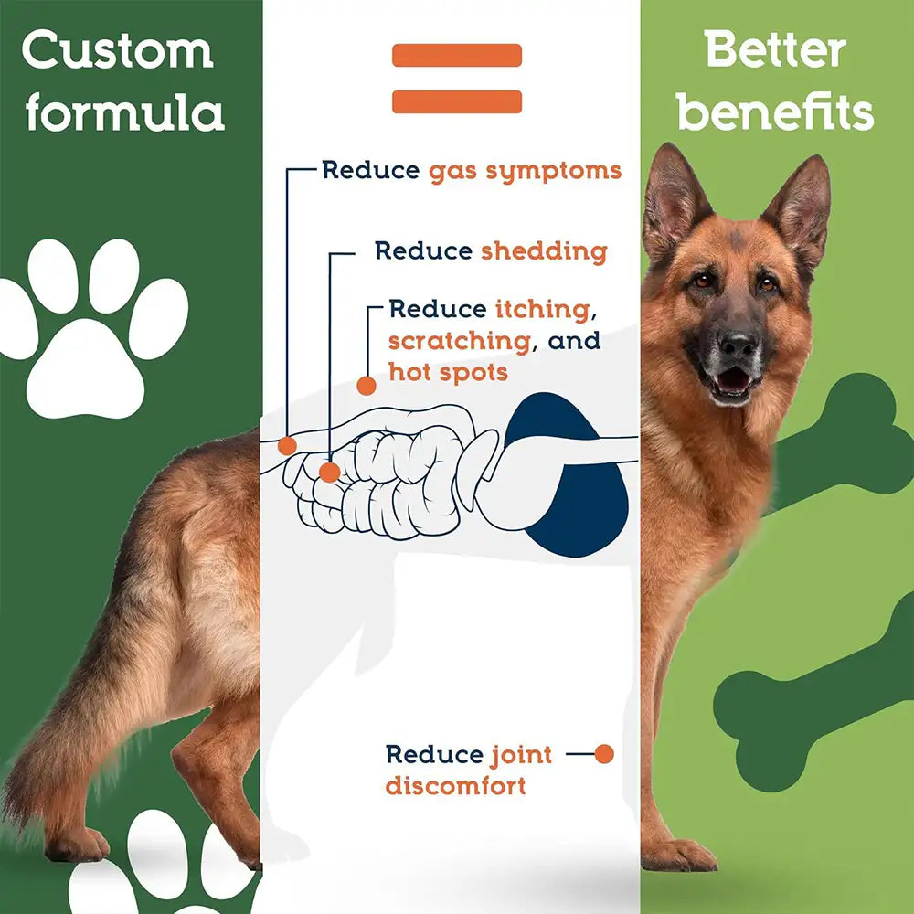 22-Species Probiotics for Dogs – Digestive Health & Antibiotics Recovery Support