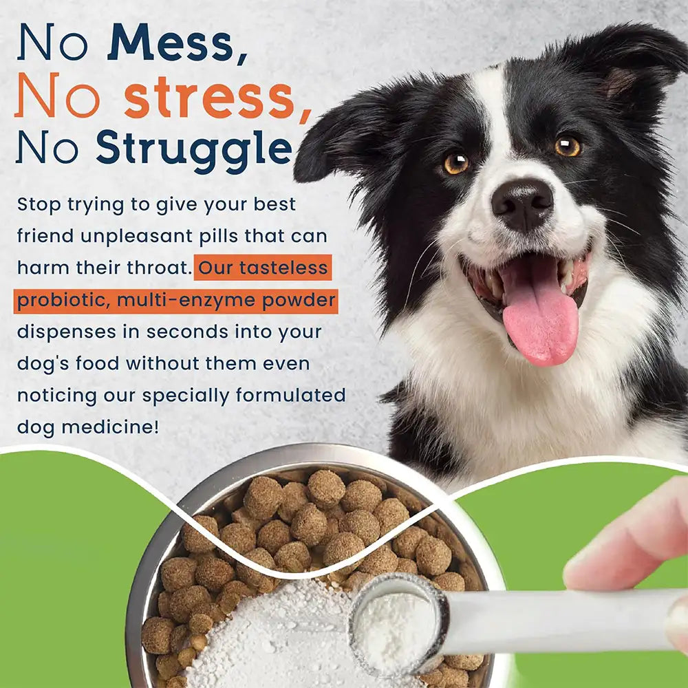 22-Species Probiotics for Dogs – Digestive Health & Antibiotics Recovery Support