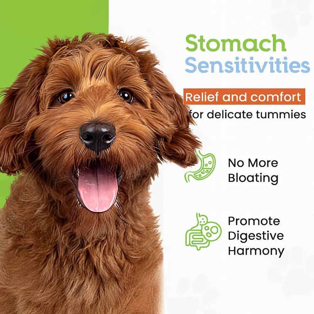 22-Species Probiotics for Dogs – Digestive Health & Antibiotics Recovery Support