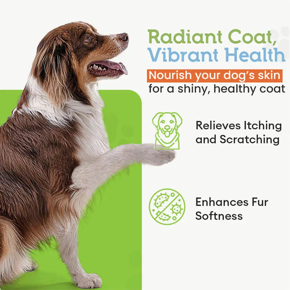 22-Species Probiotics for Dogs – Digestive Health & Antibiotics Recovery Support