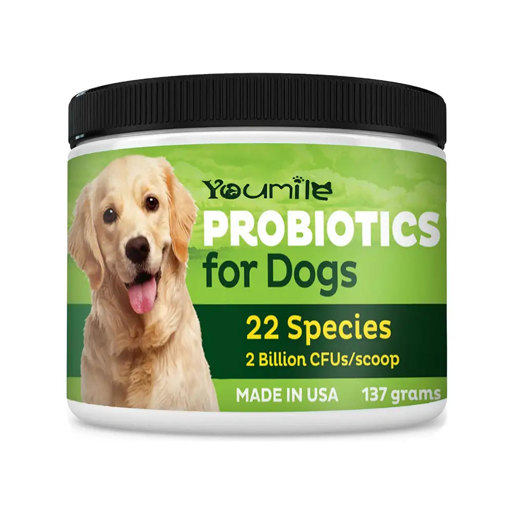 22-Species Probiotics for Dogs – Digestive Health & Antibiotics Recovery Support