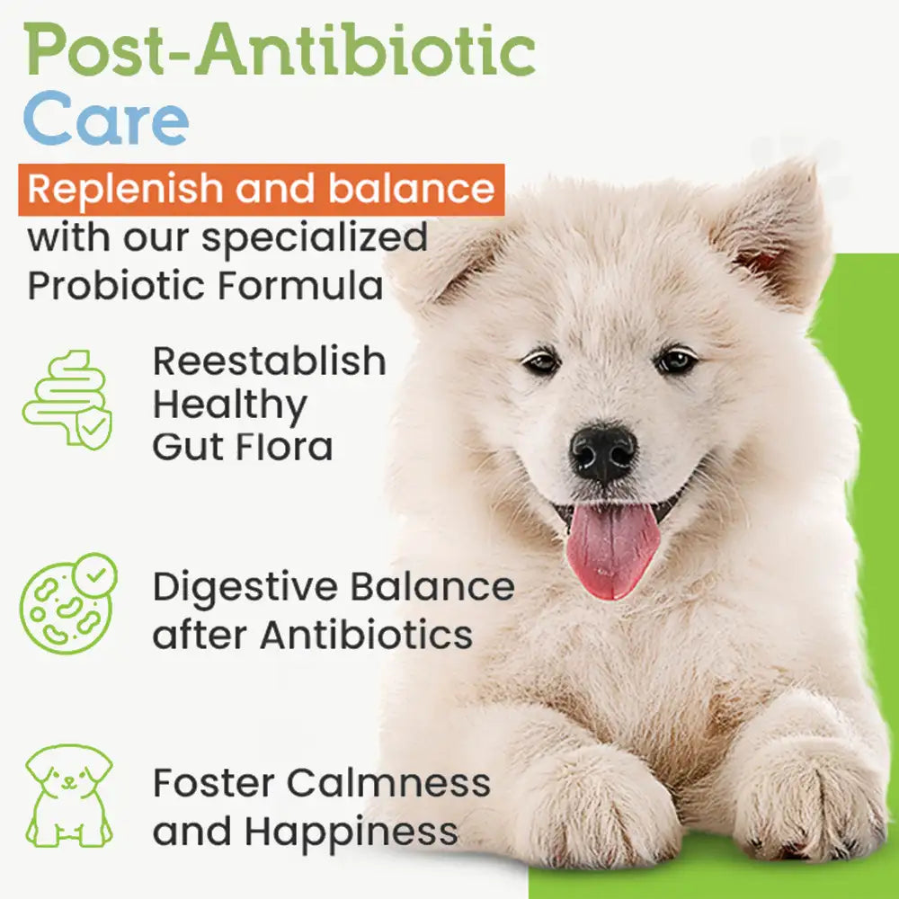 22-Species Probiotics for Dogs – Digestive Health & Antibiotics Recovery Support
