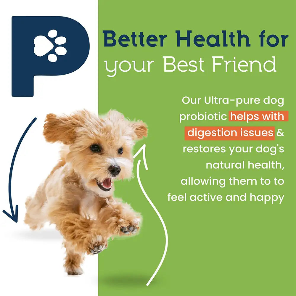 22-Species Probiotics for Dogs – Digestive Health & Antibiotics Recovery Support