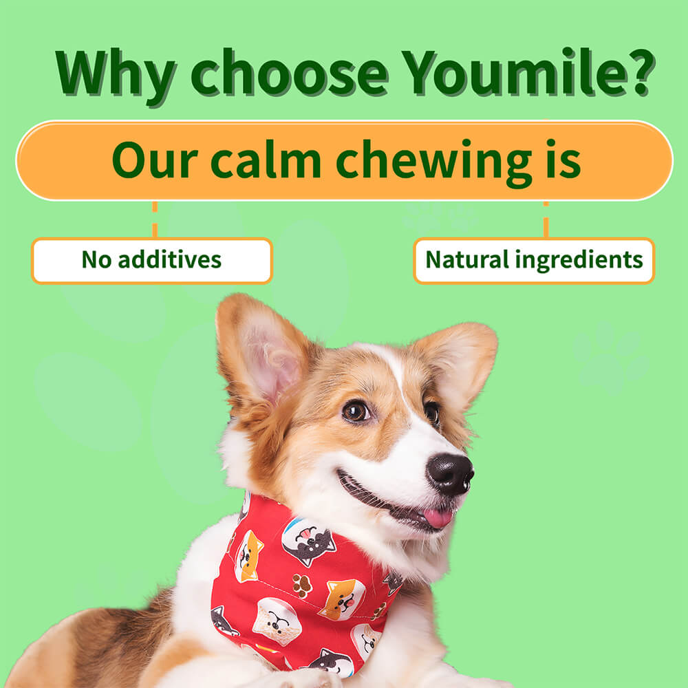 Dog Calming Chews for Stress Relief & Separation Anxiety Support - 120 Count