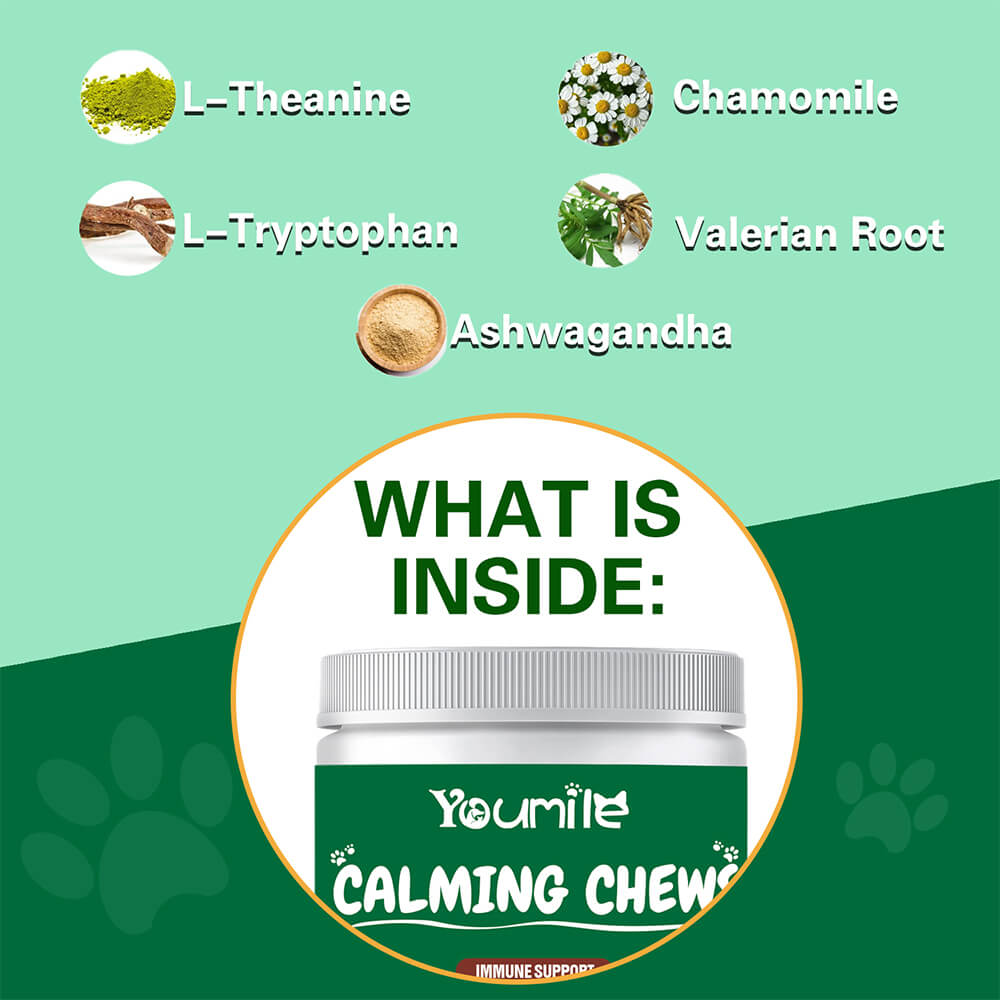 Dog Calming Chews for Stress Relief & Separation Anxiety Support - 120 Count